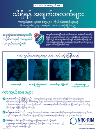 Fertility Fact Sheet Burmese