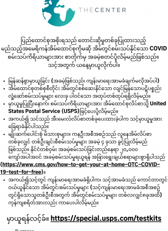 Burmese Test Kits