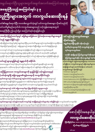 Burmese Fact Sheet three reasons