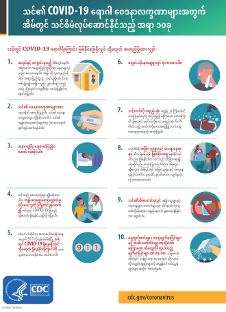 10Things Burmese