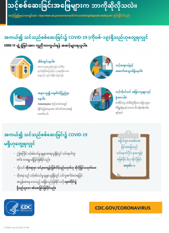 Burmese What Your Test Results Mean