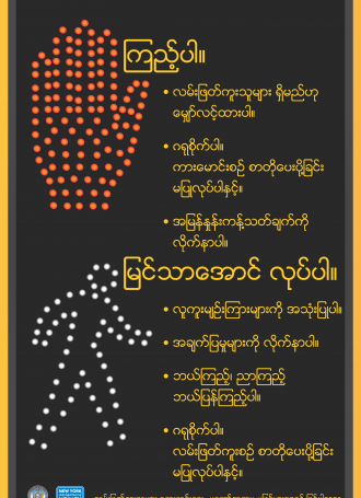 Burmese.6601 SeeBeSeen Pedestrian Safety 080213 poster