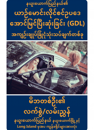 Burmese.6580 GDL Parents Up Final Page 01