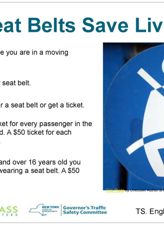 English Seat Belts