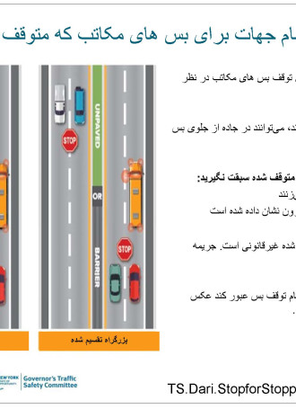 TS.Dari.StopforStoppedSchoolBuses