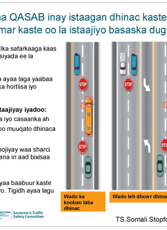 TS.Somali.StopforStoppedSchoolBuses